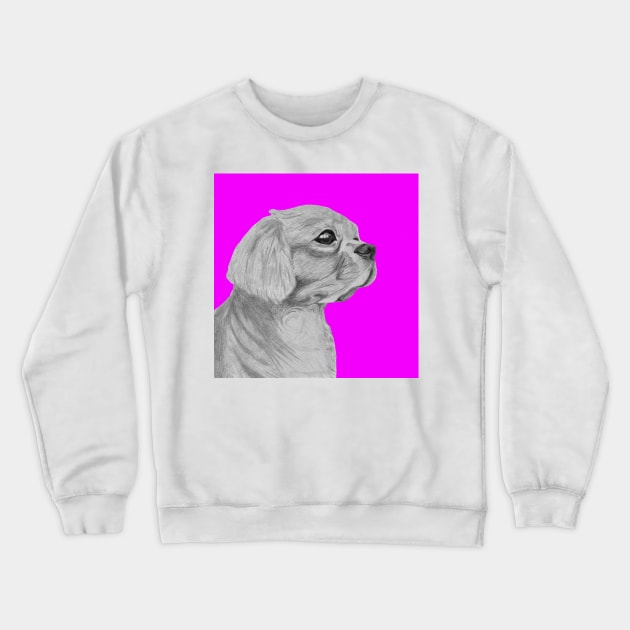 Cavalier King Charles Spaniel in Pink Crewneck Sweatshirt by DavidASmith